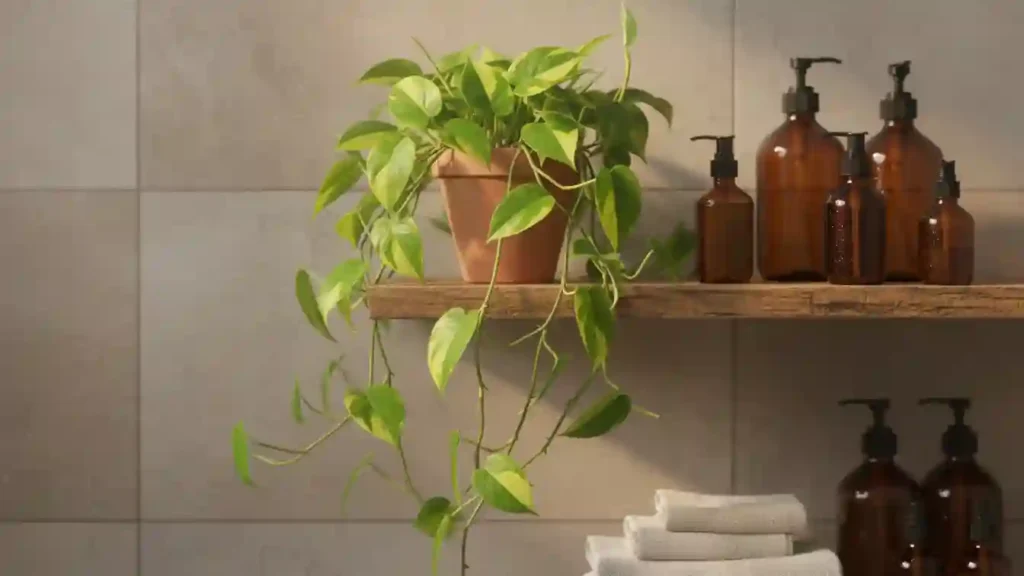 trailing philodendron cascading from a bathroom shelf above towels adding relaxed jungle vibes on yourselflovehub.com